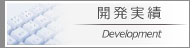 開発実績